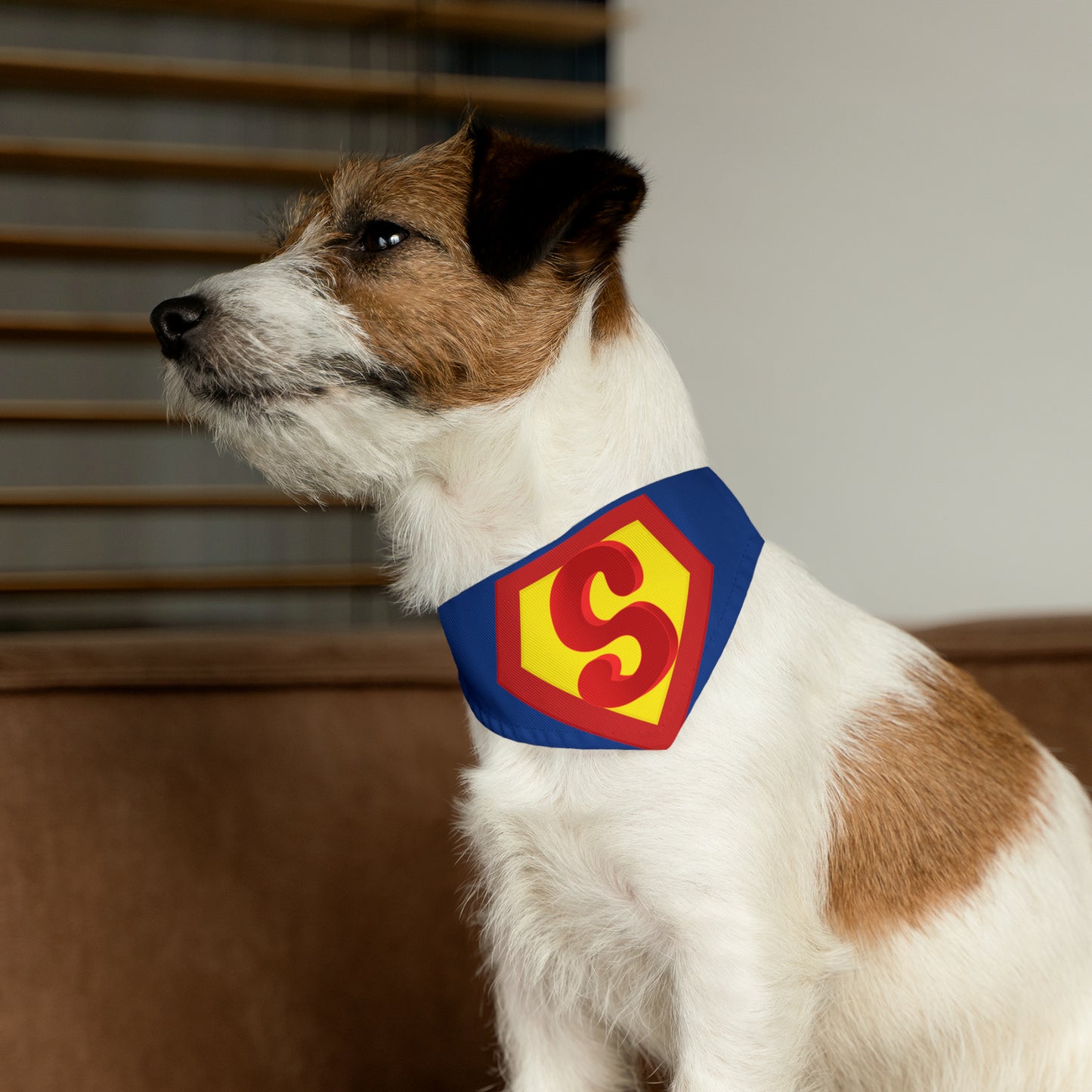 Pet Bandana Collar