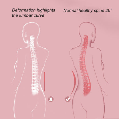 SpineAlign Pro 2.0